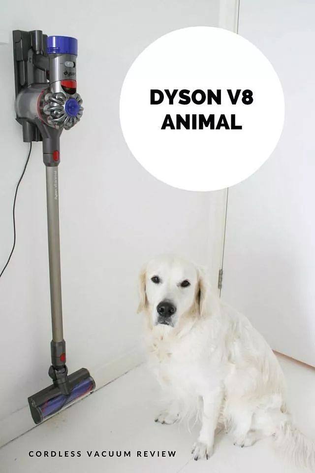 5a1b89ee56598.jpg