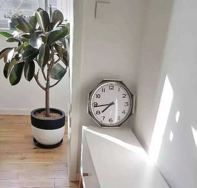 ins用什么拍照 5ac960f12c62f.jpg!b710