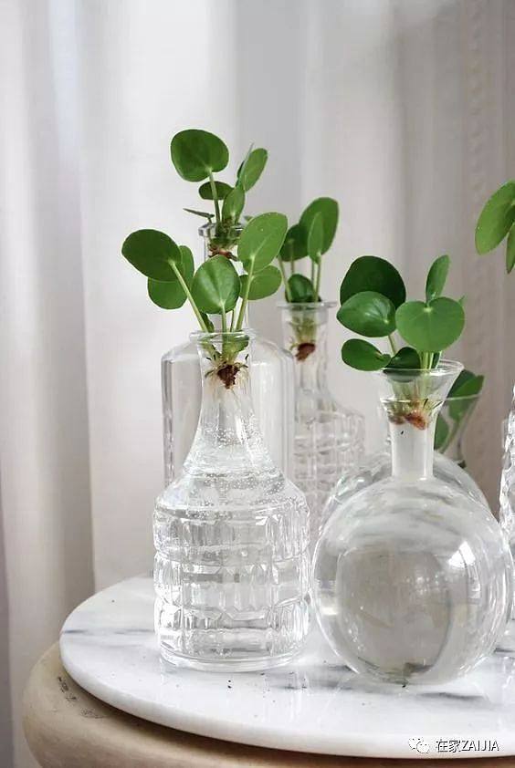 5aebd08ace29b.jpg!b710