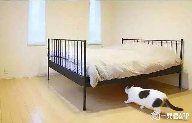 5af294120727c.jpg!710