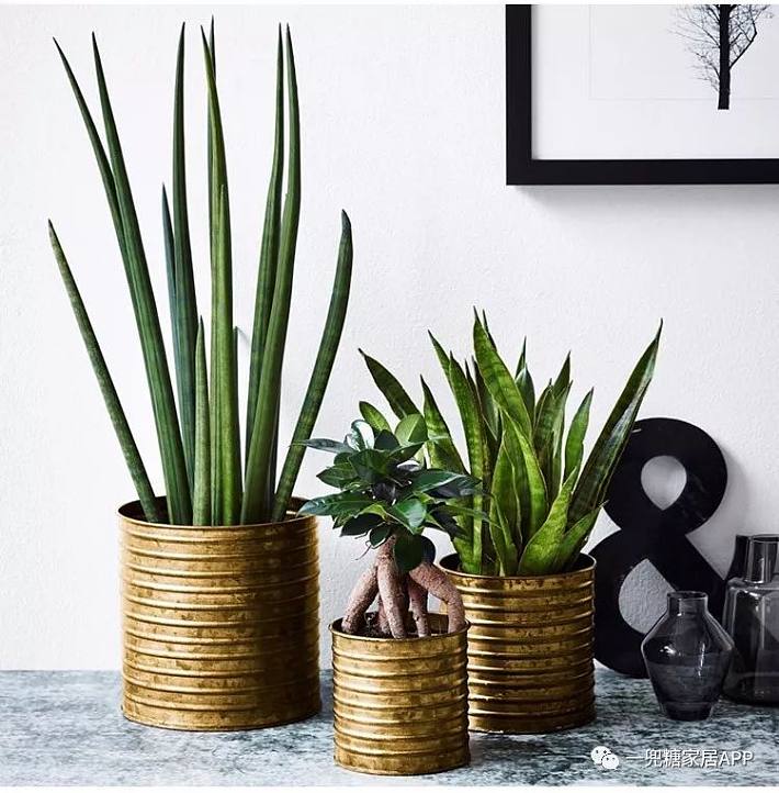 5afe42fd30bb0.jpg!b710