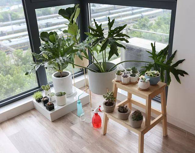 5b35aa1b83c71.jpg!b710