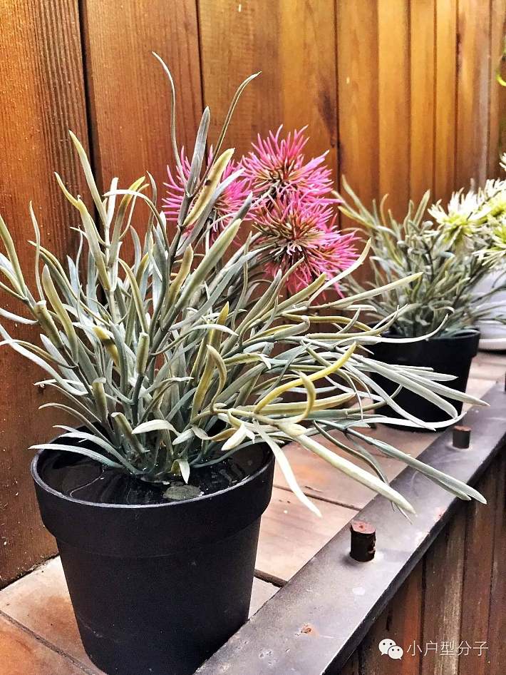 小户型实地报告|看法国设计师如何实现8平米小