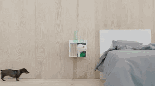 5bfbc68ec1527.gif!ori