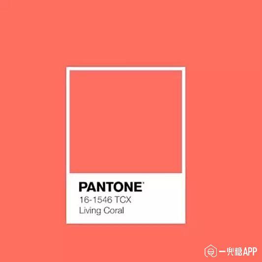 2019年度流行色彩,「珊瑚橙」太仙了!
