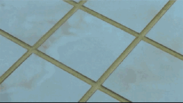 5c9ee640dc313.gif!ori