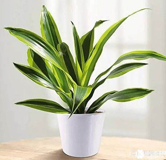 5cb05aa9459a5.jpg!710