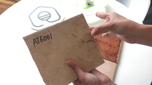 5cdcf56cdc86f.gif!ori