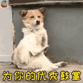 5d06f597c07a8.gif!ori