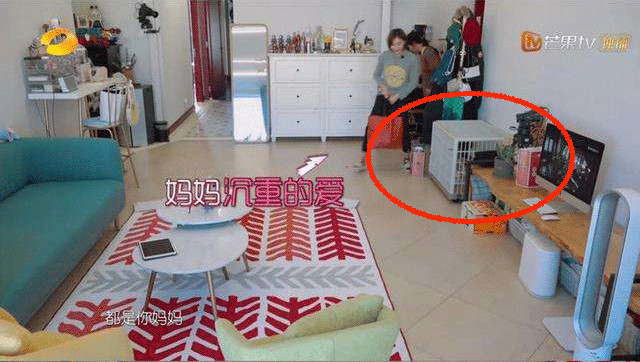 5d0b9d3ba1667.gif!ori