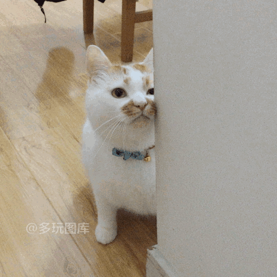5d0b9d5092eba.gif!ori