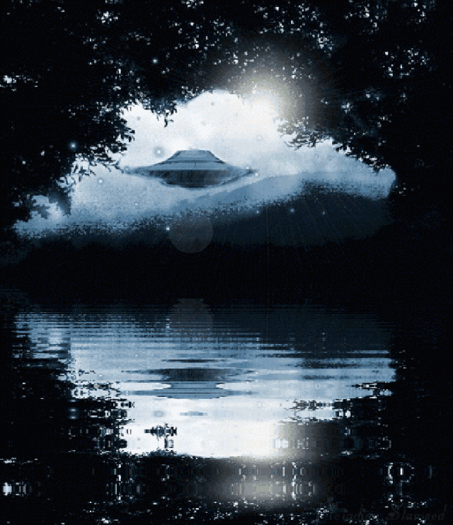 炎炎烈日, 夏季的夜晚最是怡人, 微风轻拂, 夜凉如水, 皎皎月色惹人醉