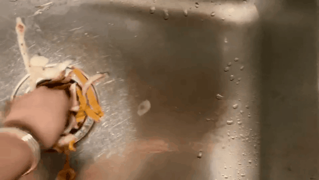 5db274a320df5.gif