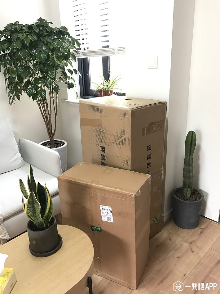 【一兜糖众测】铲屎官和过敏性鼻炎患者的福音