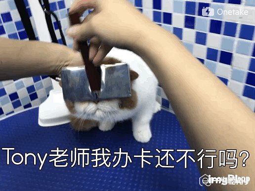 疯狂猜图一坨屎_疯狂猜图完美版综合攻略(3)