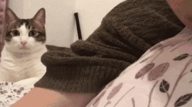 1.gif!ori