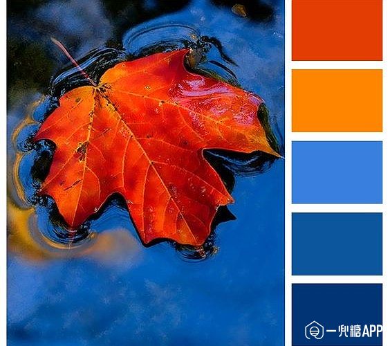蓝色与橙色——你是这片海里最美的太阳