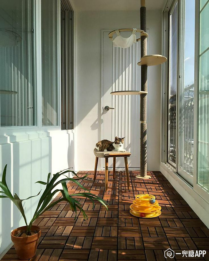 5b86071218495.png!710