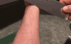 首图2.gif!ori