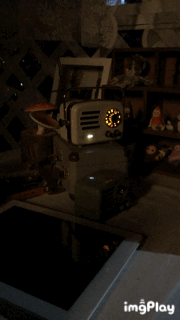 IMG_8904.GIF!ori