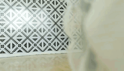 ****.gif!ori