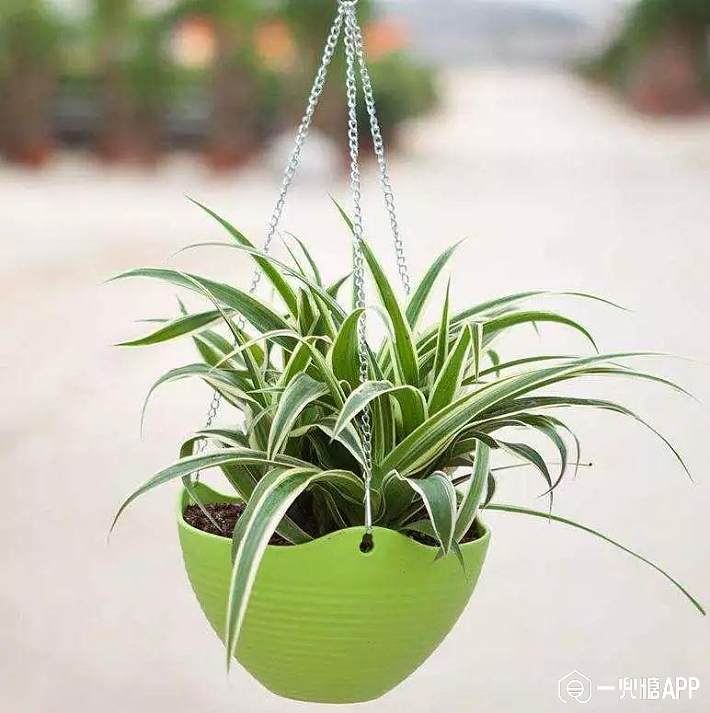 5c4c097714e3a.jpg!710