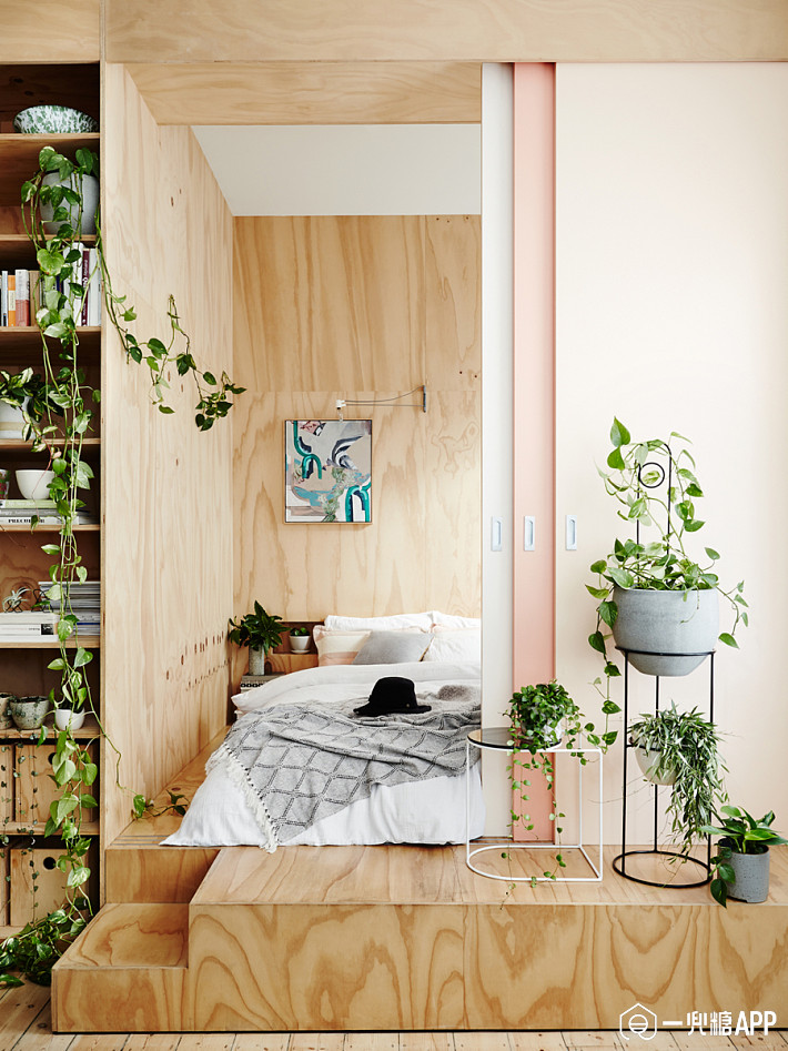 室内绿植推荐北欧风植物 5c907638bae46.jpg!710