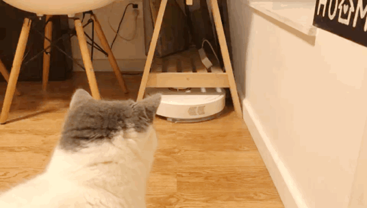72B83A500EC9AE95535EED1E51B24453.gif!ori