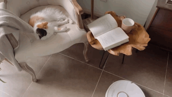 IMG_6165.GIF!ori