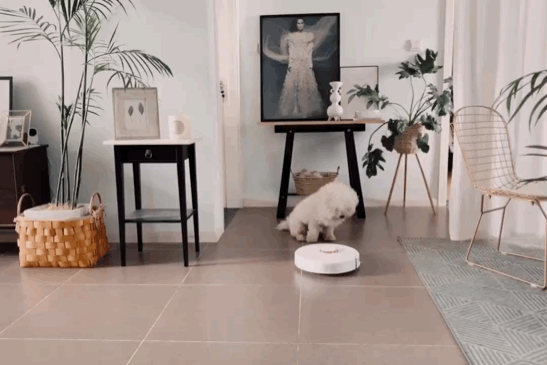 IMG_6108.GIF!ori