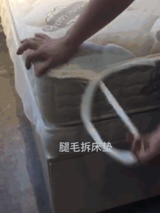 IMG_9021.GIF!ori