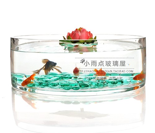 透明玻璃花瓶 水培花器 现代时尚 宜家家居装饰