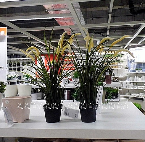 宜家IKEA专业代购 菲卡人造盆栽植物,黑色北欧
