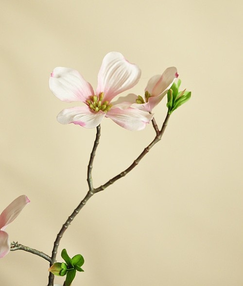 3件包邮 轻舞飞扬 四照花 仿真花艺套装 绢花与