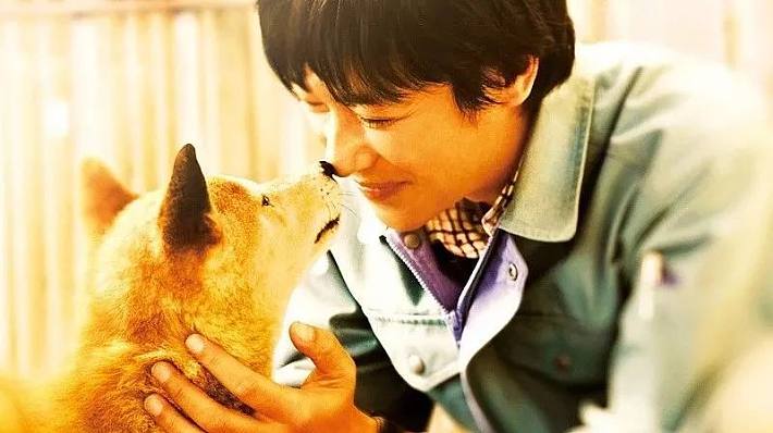 不是人饲养了猫,是猫收养了人类