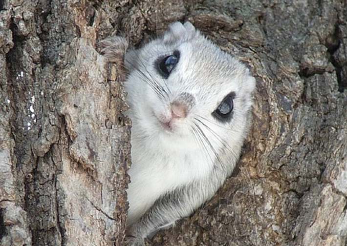 暖气救不了的一种冷,是我家漏风 | 一兜糖 - 家居装修生活平台