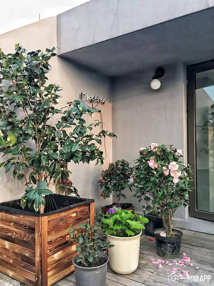 灵长类生物与植物之间的联系,恐怕不是水泥丛林与人造材料可以切断的.