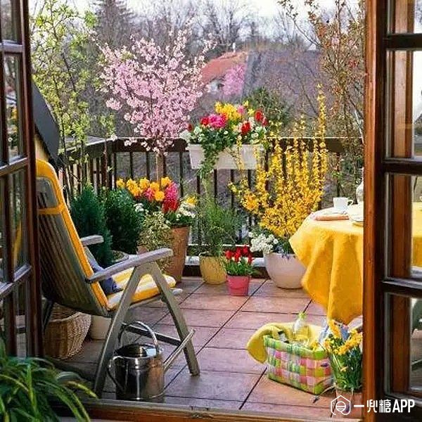 千万别在阳台上种花!