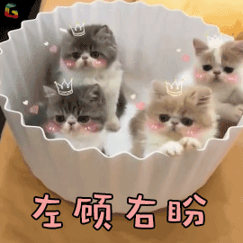 好看的皮囊千篇一律,有趣的灵魂万里挑一(如何用宜