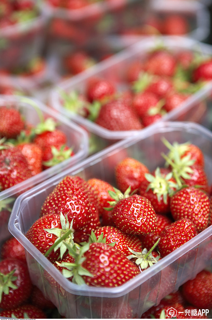 草莓大福搭配热喷喷的牛奶杯,冬天都暖起来了