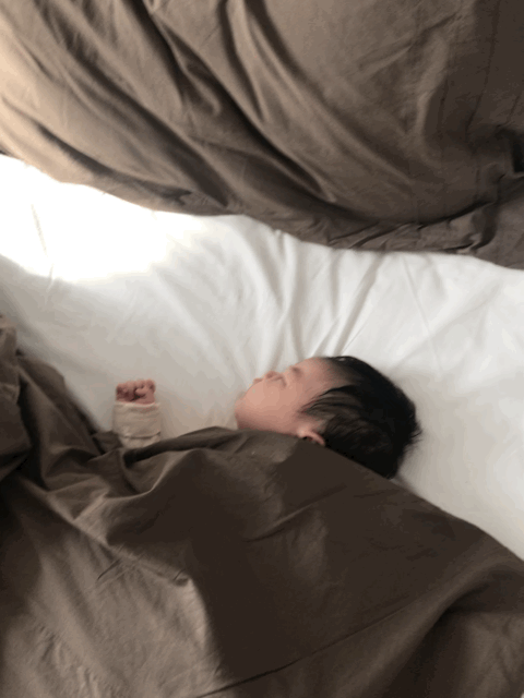 5c4ff311d5a3b.gif!ori