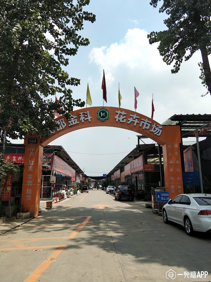 2019三圣乡拆迁后最新版,最全成都花卉市场汇总!