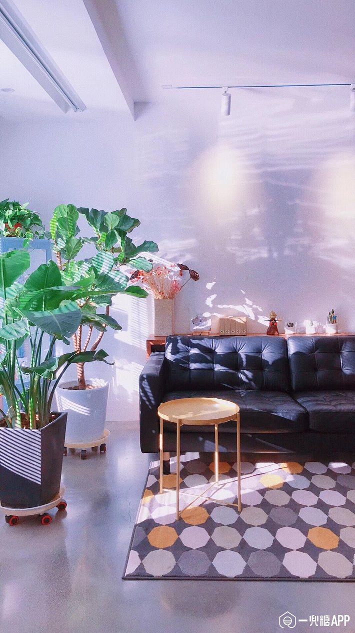 5cdc13e740eff.jpg!710