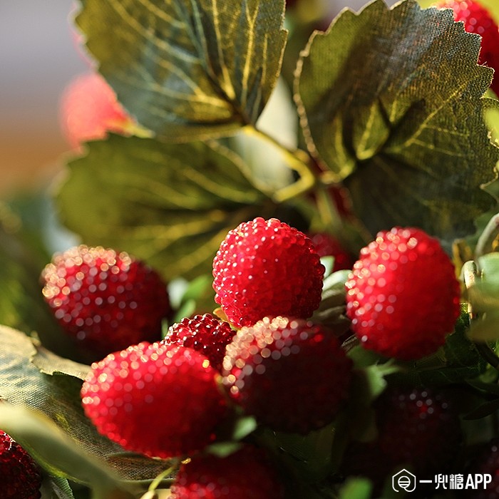 高仿真覆盆子树莓